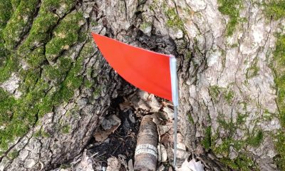 Proiectil neexplodat, descoperit într-o curte din județul Tulcea. Autoritățile au securizat zona și au început o anchetă
