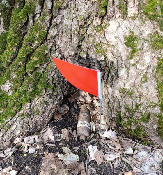 Proiectil neexplodat, descoperit într-o curte din județul Tulcea. Autoritățile au securizat zona și au început o anchetă