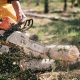 Drujbă de mână pe benzină: control mai bun pentru tăieri rapide și lucrări în teren