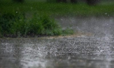 Ploaia revine în ecuația economiei agricole