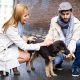 Cum lucrează un pet sitter din București cu câini neobișnuiți cu lesa sau plimbările?