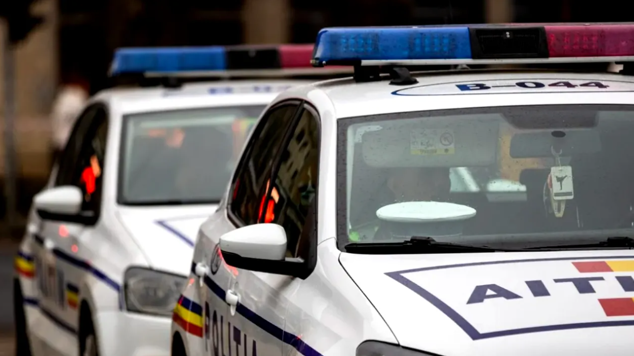 Arest preventiv pentru doi indivizi care au rănit un ofițer de poliție aflat în misiune de prindere a hoților de lemn din Suceava