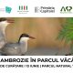 Ambrozia trebuie smulsă acum: apel la voluntari pentru acțiune de curățare în Parcul Natural Văcărești