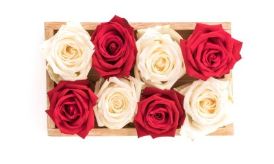 Flori de sapun: cadouri elegante si durabile care pastreaza emotia unui buchet proaspat
