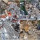 Alunecare de teren devastatoare în China: cel puțin 8 morți și 34 de dispăruți. Ploile îngreunează căutările supraviețuitorilor