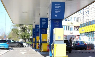 Camera Deputaților a adoptat legea privind starea de criză în domeniul carburanților
