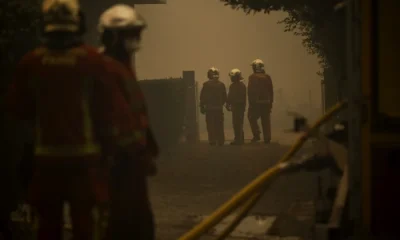 Europa arde sub un val de căldură brutal: Zeci de mii de oameni, evacuați din calea incendiilor de vegetație