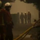 Europa arde sub un val de căldură brutal: Zeci de mii de oameni, evacuați din calea incendiilor de vegetație