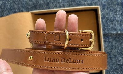 De ce am renunțat la accesoriile banale pentru câini și am ales calitatea românească de la Luna DeLuna