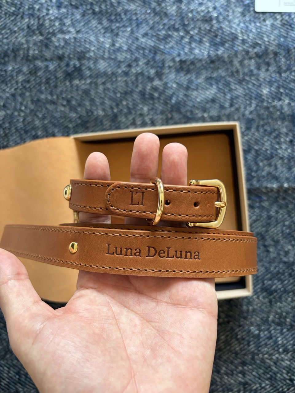 De ce am renunțat la accesoriile banale pentru câini și am ales calitatea românească de la Luna DeLuna