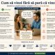 Cum Influențează Comunicarea Rezultatele În Vânzări