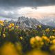 5,3 miliarde de imagini în fiecare zi, la nivel global: seria HONOR 600 simplifică editarea foto cu ajutorul AI
