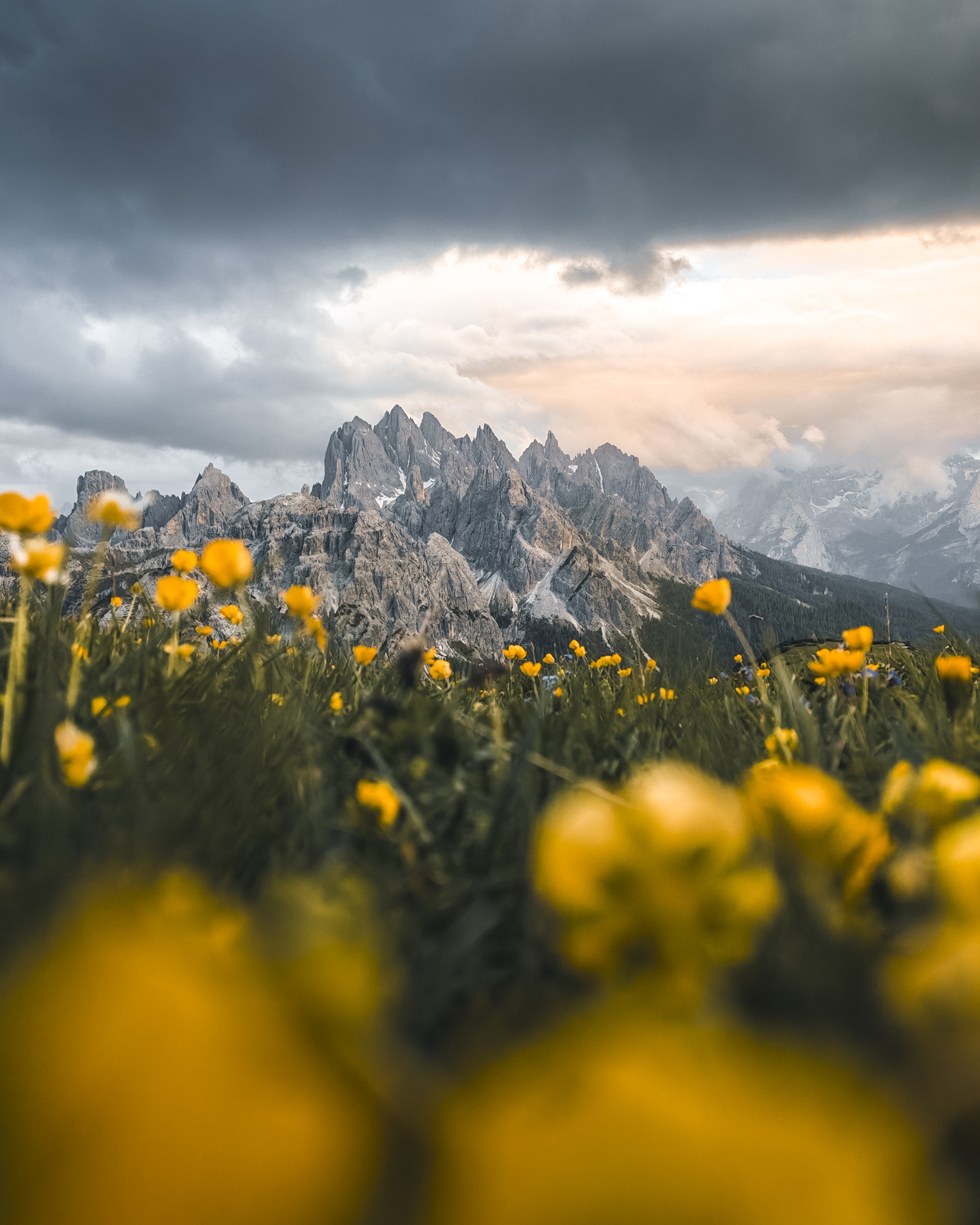 5,3 miliarde de imagini în fiecare zi, la nivel global: seria HONOR 600 simplifică editarea foto cu ajutorul AI