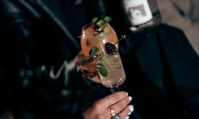 Ce este, de unde provine și cum dictează amăreala unui Gin Tonic premium