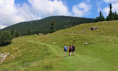 5 idei de weekend la munte pentru familii cu copii: recomandari de cazari de la Cazari Unice 