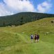 5 idei de weekend la munte pentru familii cu copii: recomandari de cazari de la Cazari Unice 