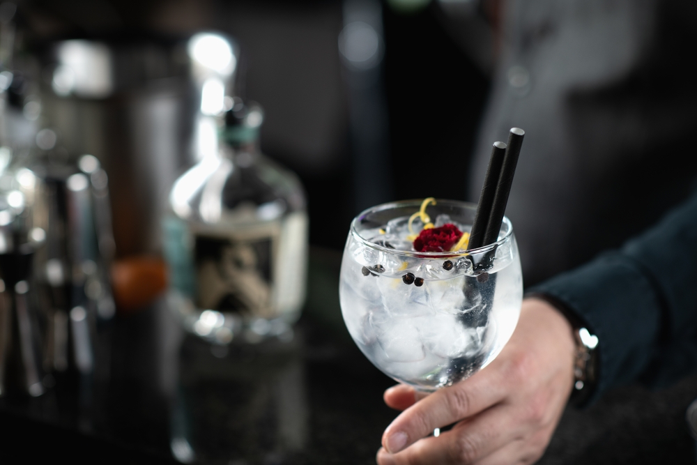 Tanqueray, Beefeater sau Gordon’s: ce gin alegi pentru gin tonic
