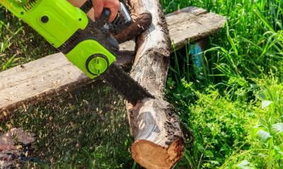Drujbă electrică – o soluție practică pentru lucrările din gospodărie