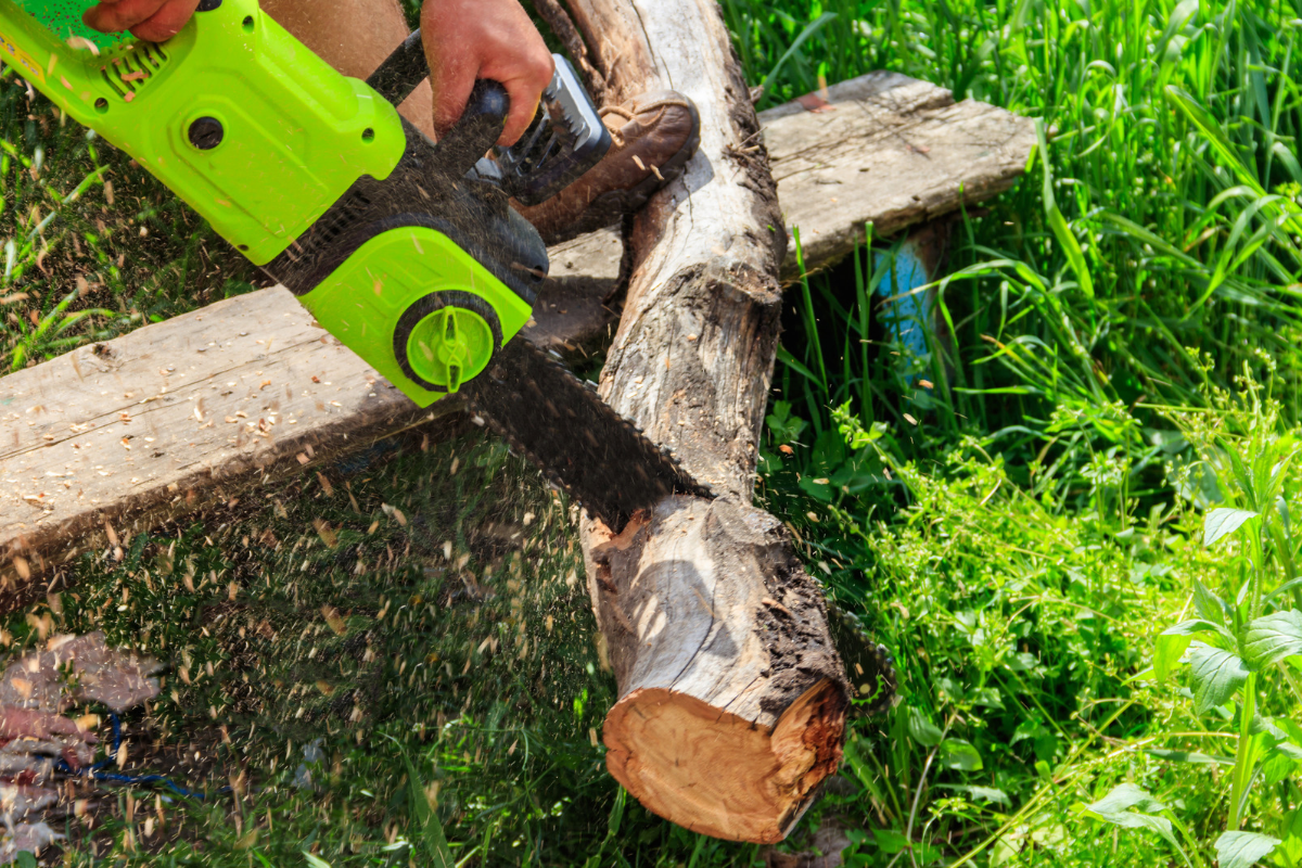Drujbă electrică – o soluție practică pentru lucrările din gospodărie