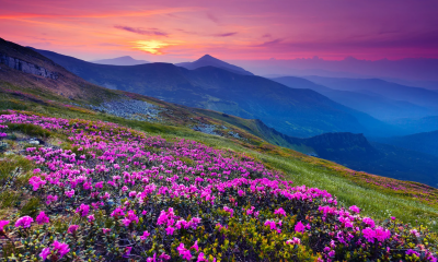 Vacanță la munte pentru relaxare, aer curat și experiențe în natură