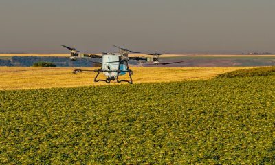 Unde nu a răsărit rapița? AEROCROP identifică zonele afectate cu ajutorul dronei