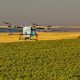 Unde nu a răsărit rapița? AEROCROP identifică zonele afectate cu ajutorul dronei