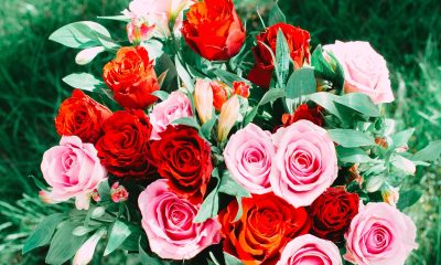 Ce transmite fiecare culoare: ghid scurt de simbolistică florală