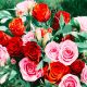 Ce transmite fiecare culoare: ghid scurt de simbolistică florală