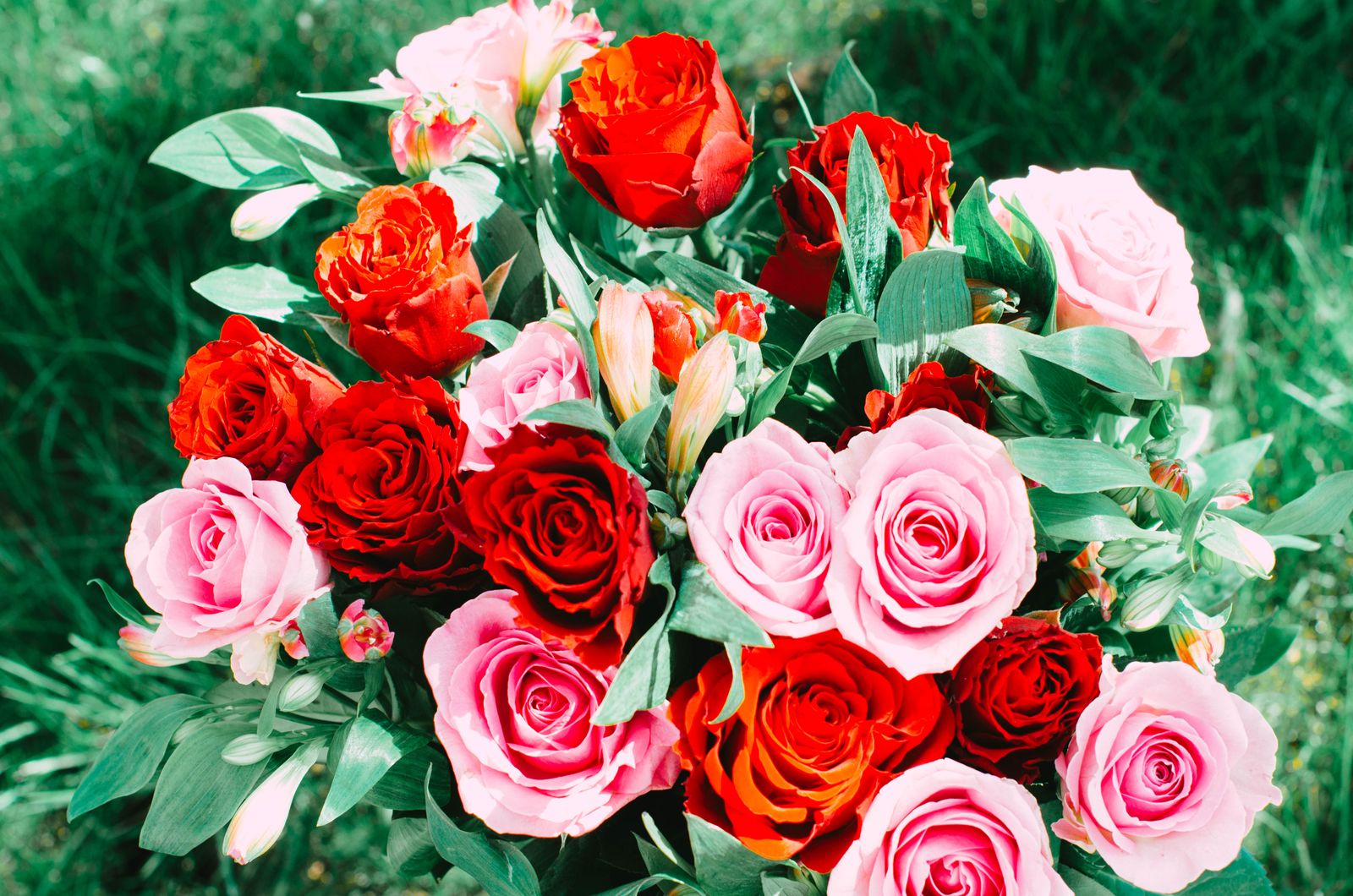 Ce transmite fiecare culoare: ghid scurt de simbolistică florală