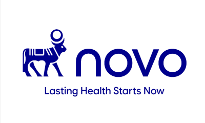 Novo Nordisk intră într-o nouă etapă de dezvoltare, susținută de rebrandingul „Novo” și de actualizarea culturii organizaționale
