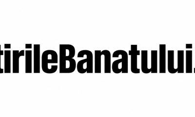 Ce comanzi online între două apeluri, când lucrezi de acasă