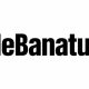 Ce comanzi online între două apeluri, când lucrezi de acasă