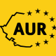 AUR vrea reguli electorale mai simple: eliminarea pragului alternativ și menținerea pragului național de 5%