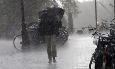 Cinci județe intră în Cod Galben de ploi de sâmbătă dimineaţa. Se anunță ninsori în zona Carpaţilor Meridionali