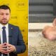 Încă un cap de porc, descoperit la firma asociată cu Marius Lulea, după incidentul de la domiciliu. Ce acuză cofondatorul AUR