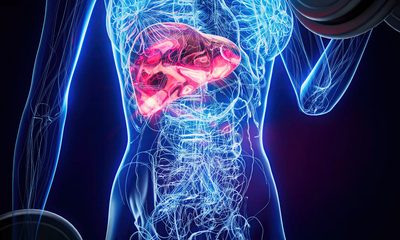 Wegovy® a redus grăsimea din ficat la valori normale la aproape 9 din 10 participanți cu obezitate și steatoză, într-o analiză prezentată la EASD 2026