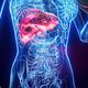 Wegovy® a redus grăsimea din ficat la valori normale la aproape 9 din 10 participanți cu obezitate și steatoză, într-o analiză prezentată la EASD 2026