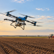După o toamnă secetoasă, grâul a răsărit neuniform. Specialiștii AEROCROP explică ce trebuie verificat înainte de iarnă